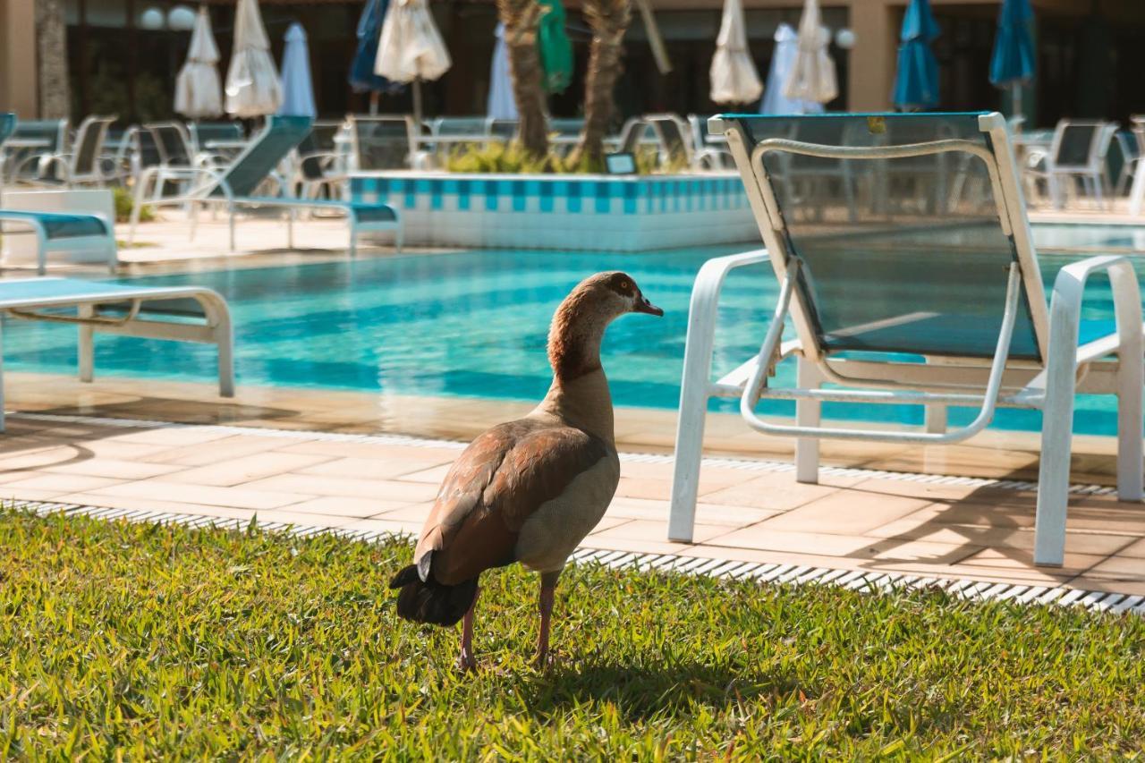 Villa Itaipava Resort & Conventions Zewnętrze zdjęcie